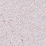 Zustina Silk Plast SPY-18 Liquid Wallpaper - Image 2