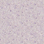 Zustina Silk Plast SPY-29 Liquid Wallpaper - Image 2